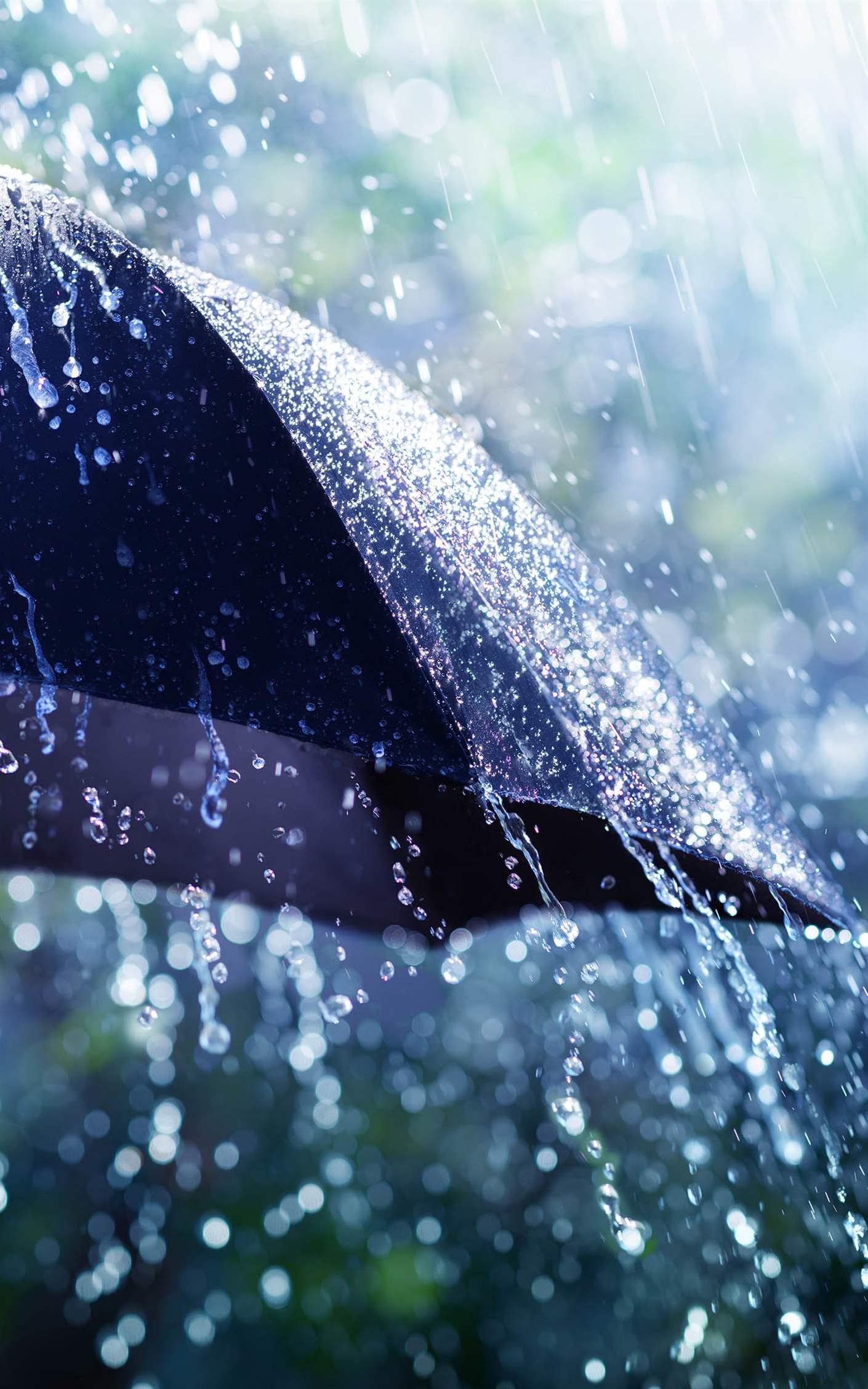 umbrella in the rain